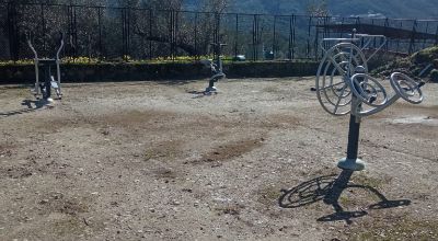 WhatsApp Image 2026-02-19 at 12.20.33